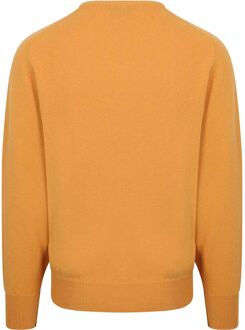 V-Hals Lamswol Geel - M,L,XL,XXL