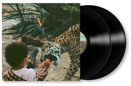 V - Unknown Mortal Orchestra