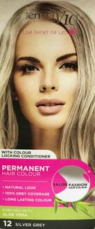 V10 Salon Permanent Color 12 Zilvergrijs