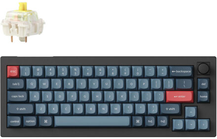 V2 Max-D4 Toetsenbord