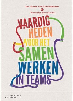 Vaardigheden voor het samenwerken in teams - Boek Jan Pieter van Oudenhoven (9046903850)