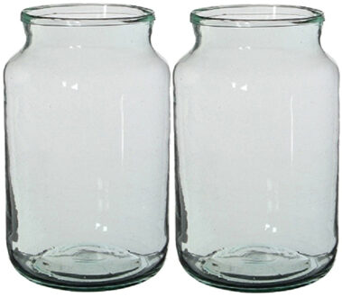 Vaas - 2x - cilinder - transparant glas - 30 x 18 cm - bloemenvazen