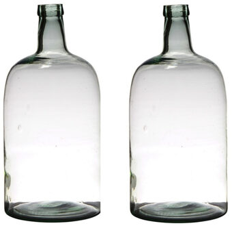 Vaas - 2x - fles vorm - transparant - B19 x H40 - glas - stijlvolle flessen bloemenvaas