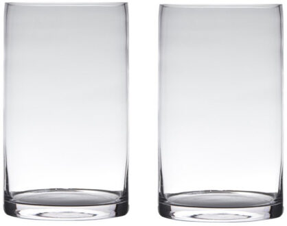 Vaas - 2x stuks - transparant - 15 x 40 cm - glas - cilinder vorm - bloemenvaas