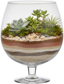 Vaas Brandy - op voet - transparant glas - 10l - 38 cm