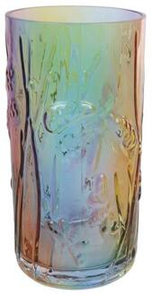 Vaas Rainbow glas dia8,5x17cm multi