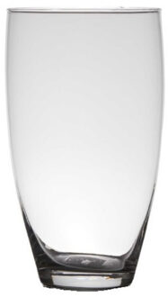 Vaas - transparant - 25 x 14 cm - glas - home-basics - vazen - bloemenvaas