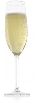 Vacu Vin Champagneglazen set van 2 stuks