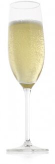Vacu Vin Champagneglazen set van 2