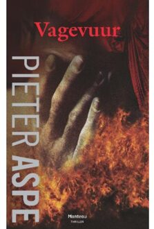 Vagevuur - Boek Pieter Aspe (9022329054)