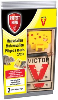 Val Muizen Hout 2st