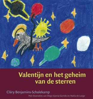 Valentijn en het geheim van de sterren - Boek Cläry Benjamins-Schalekamp (9027205140)