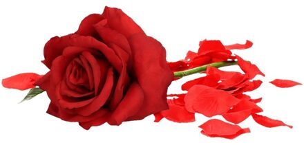 Valentijnscadeau rode roos 31 cm met rozenblaadjes