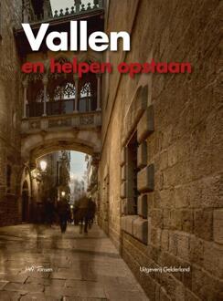 Vallen en helpen opstaan - Boek J.W. Jansen (9491826360)