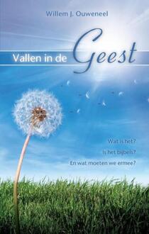 Vallen in de Geest - Boek Willem J. Ouweneel (9075226896)