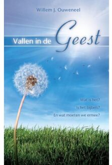 Vallen in de Geest - Boek Willem J. Ouweneel (9075226896)