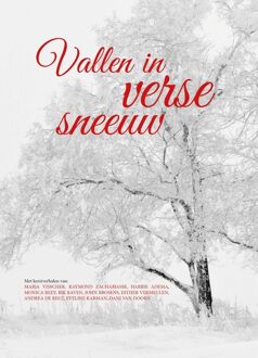 Vallen in verse sneeuw - Maria Visscher, Raymond Zachariasse, Harrie Adema, Monica Reey, John Brosens, Esther Vermeulen, Andrea de Regt, Eveline - ebook