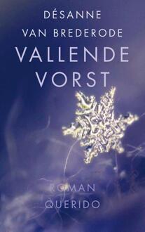 Vallende vorst - eBook Désanne van Brederode (9021458845)