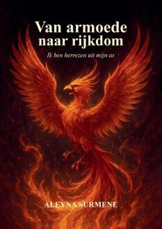 Van Armoede naar Rijkdom -  Aleyna Surmene (ISBN: 9789465118819)
