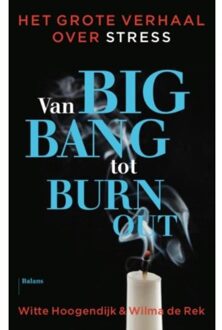 Van big bang tot burn-out - Boek Witte Hoogendijk (9460031900)