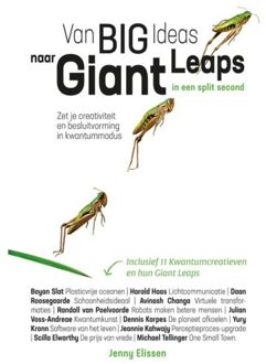 Van Big Ideas Naar Giant Leaps. In Een Split
