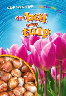 Van Bol Naar Tulp - Stap Voor Stap - Rachel Grack