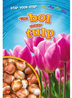Van Bol Naar Tulp - Stap Voor Stap - Rachel Grack