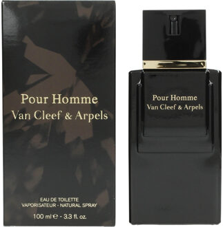 Van Cleef & Arpels Van Cleef Homme 100 ml - Eau de toilette - Herenparfum