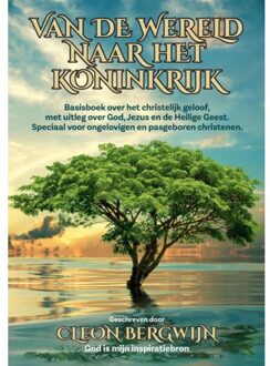 Van De Wereld Naar Het Koninkrijk - Cleon Bergwijn