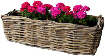 van der Leeden Balkonbak Rotan Antique Grey 60x20xh16cm