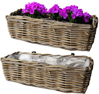 van der Leeden Balkonmand - 2x - rotan gevlochten - 46 x 19 x 15 cm - bloemen/planten - schuttingmand -hangmand