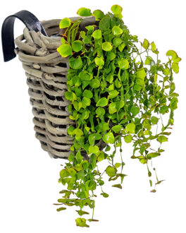 van der Leeden Balkonmand - rond - rotan gevlochten - D15 cm - bloemen/planten - schuttingmand -hangmand