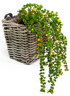 van der Leeden Balkonmand - rotan gevlochten -15 x 15 x 15 cm - bloemen/planten - schuttingmand -hangmand