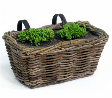 van der Leeden Balkonmand - rotan gevlochten -30 x 18 x 16 cm - bloemen/planten - schuttingmand -hangmand