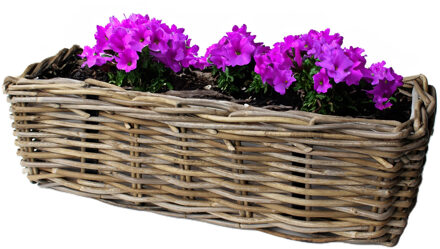 van der Leeden Balkonmand - rotan gevlochten -46 x 19 x 15 cm - bloemen/planten - schuttingmand -hangmand