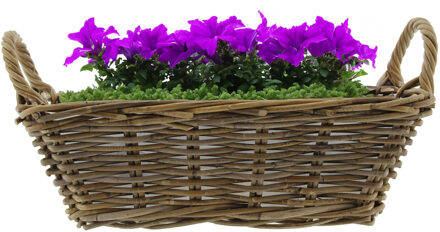 van der Leeden Mand met hengsels - bruin - 42 x 27 x 14 cm - rotan - gevlochten riet - mand - opbergen