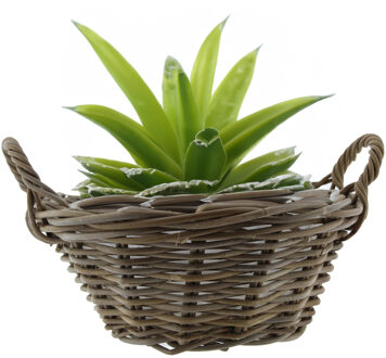 van der Leeden Mand met hengsels - rond - bruin - D43 x H18 cm - rotan - gevlochten riet - mand - opbergen