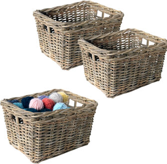 van der Leeden Opbergmand - 3x - bruin - 34 x 24 x 20 cm - rotan - gevlochten riet - mand - opbergen