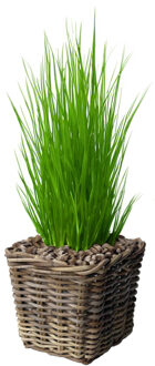 van der Leeden Opbergmand - vierkant - rotan - gevlochten riet - L27 x B27 x H25 cm - opbergen