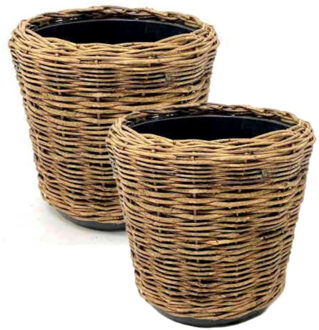 van der Leeden Planten/bloemen mand - 2x - rond - rotan - gevlochten riet - D32 x H29 cm - drypot