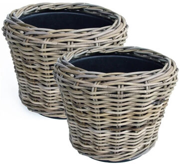 van der Leeden Planten/bloemen mand - 2x - rotan - gevlochten riet - D27 x H20 cm - drypot - plantenpot