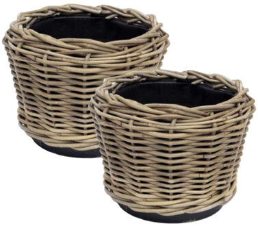 van der Leeden Planten/bloemen mand - 2x - rotan - gevlochten riet - D27 x H22 cm - drypot - plantenpot