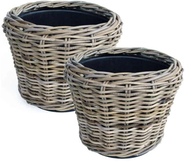van der Leeden Planten/bloemen mand - 2x - rotan - gevlochten riet - D33 x H24 cm - drypot - plantenpot