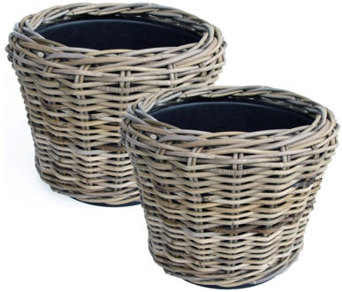 van der Leeden Planten/bloemen mand - 2x - rotan - gevlochten riet - D36 x H28 cm - drypot - plantenpot