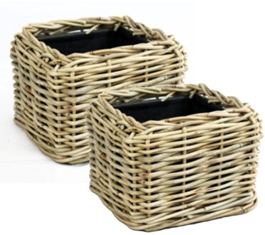 van der Leeden Planten/bloemen mand - 2x - vierkant - rotan - gevlochten riet - 25 x 25 x 18 cm - drypot