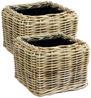 van der Leeden Planten/bloemen mand - 2x - vierkant - rotan - gevlochten riet - 31 x 31 x 24 cm - drypot