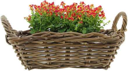 van der Leeden Planten/bloemen mand met hengsels - bruin - 37 x 22 x 12 cm - rotan gevlochten - plantenpot