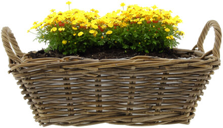 van der Leeden Planten/bloemen mand met hengsels - bruin - 42 x 27 x 14 cm - rotan gevlochten -plantenpot