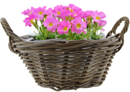 van der Leeden Planten/bloemen mand met hengsels - rond - bruin - D43 x H18 cm - rotan gevlochten