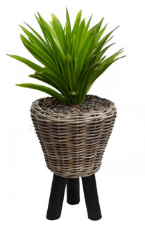 van der Leeden Planten/bloemen mand op pootjes - rotan gevlochten - D33 x H45 cm - plantenpot - bloempot